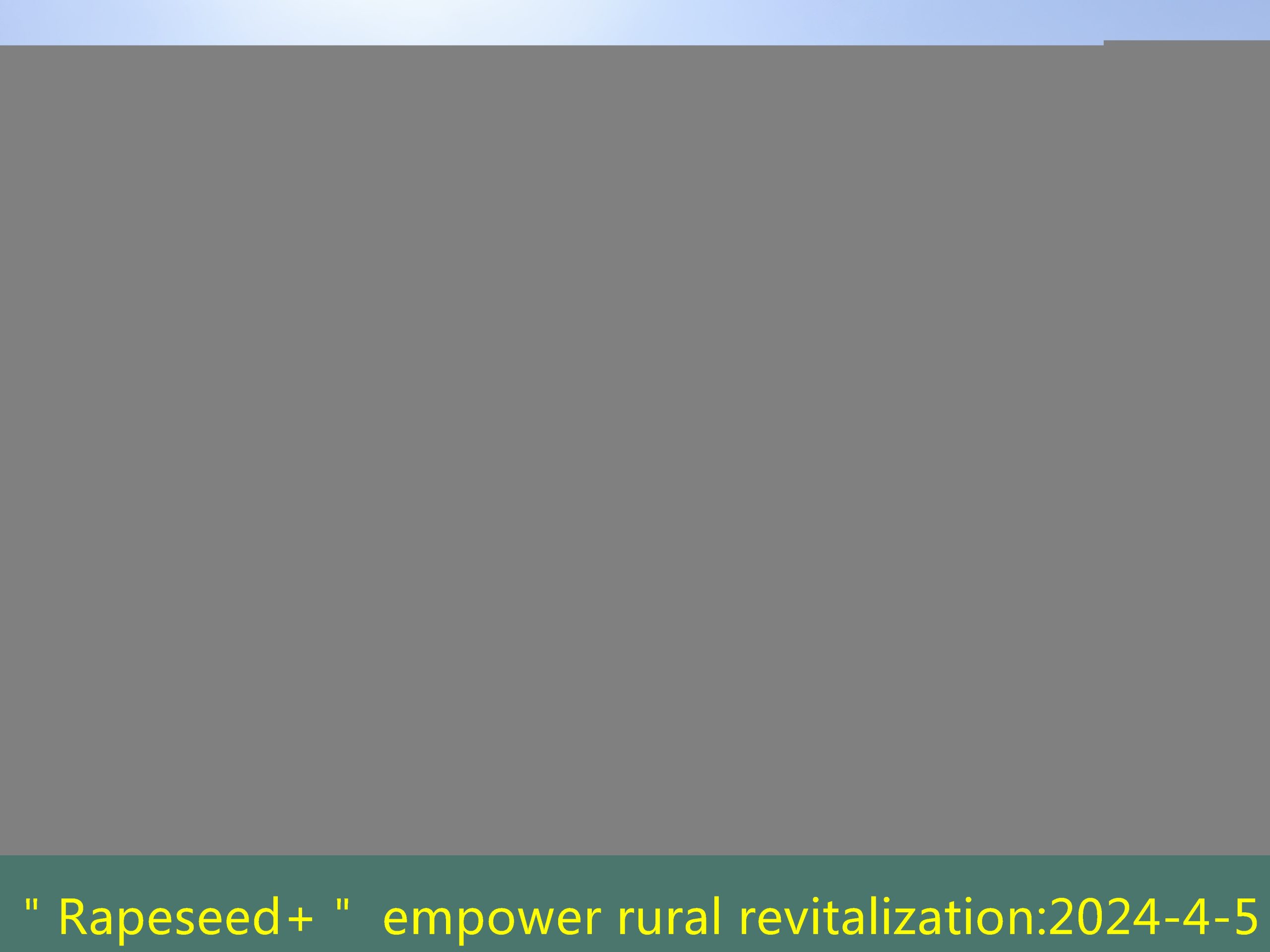 ＂Rapeseed+＂ empower rural revitalization